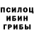 Галлюциногенные грибы GOLDEN TEACHER Laura Druskeliene