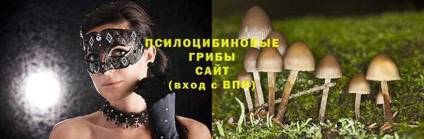 2c-b Белокуриха