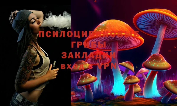 2c-b Белокуриха
