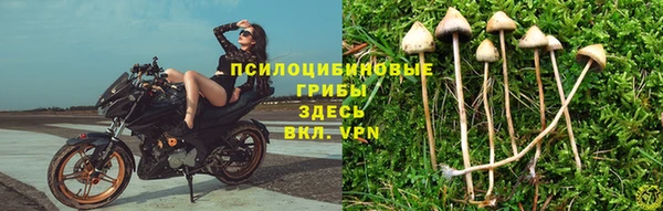 экстази Белоозёрский