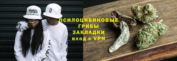2c-b Белокуриха